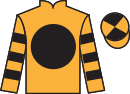 jockey silks