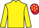 Jockey silks for Windsor Lily (IRE)