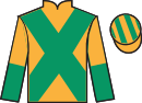 Jockey silks for Hostelry