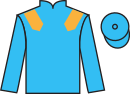 Jockey silks for Blindedbythelights (GER)