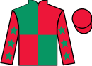 Jockey silks for Lone Soldier