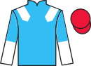 Jockey silks for Tiger Orchid (IRE)