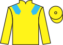 jockey silks