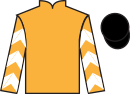jockey silks
