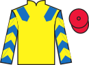 jockey silks