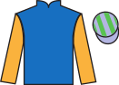 jockey silks