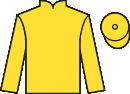 jockey silks