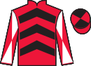 jockey silks