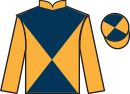 jockey silks