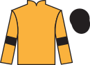 jockey silks
