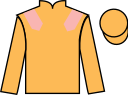 jockey silks