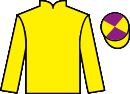 jockey silks
