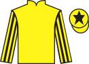 Jockey silks for Adjuvant (IRE)