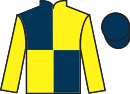 Jockey silks for Carlton