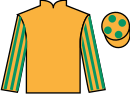 Jockey silks for Jacks Brother