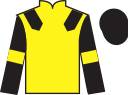 Jockey silks for Thunderous Sea