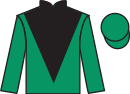 jockey silks