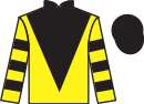 jockey silks