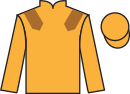 Jockey silks for Miami Magic (IRE)
