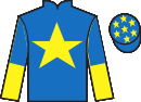 Jockey silks for Indiana Jones (FR)