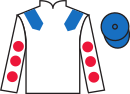 Jockey silks for Hitman (FR)