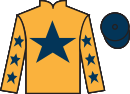 Jockey silks for Madara (FR)