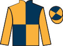 jockey silks