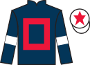 jockey silks