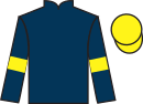 jockey silks