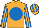 jockey silks
