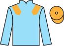 jockey silks