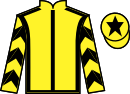 jockey silks