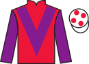 jockey silks