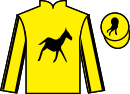 jockey silks