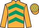 jockey silks