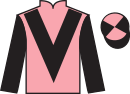 jockey silks