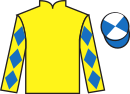jockey silks