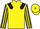 jockey silks