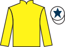Jockey silks for The Magus (IRE)