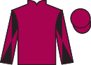 Jockey silks for Harthill (FR)
