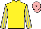 Jockey silks for Sarabi