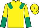 Jockey silks for Miss Mini Bee (IRE)