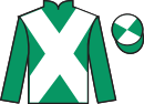 Jockey silks for Shabby Hill (IRE)