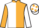 Jockey silks for Fastnet Crystal (IRE)