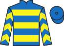 Jockey silks for Splinterwood