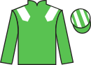 Jockey silks for Pimentel