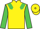 Jockey silks for Trusty Scout (IRE)
