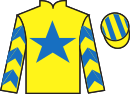 jockey silks