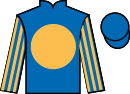 jockey silks