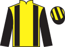 jockey silks